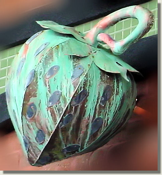 copper strawberry