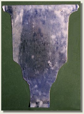 functional back plate