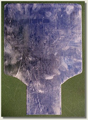 functional back plate